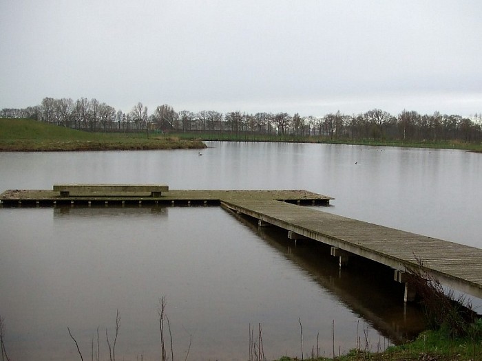 Marshoek verscholen in het groen - Foto: Wim