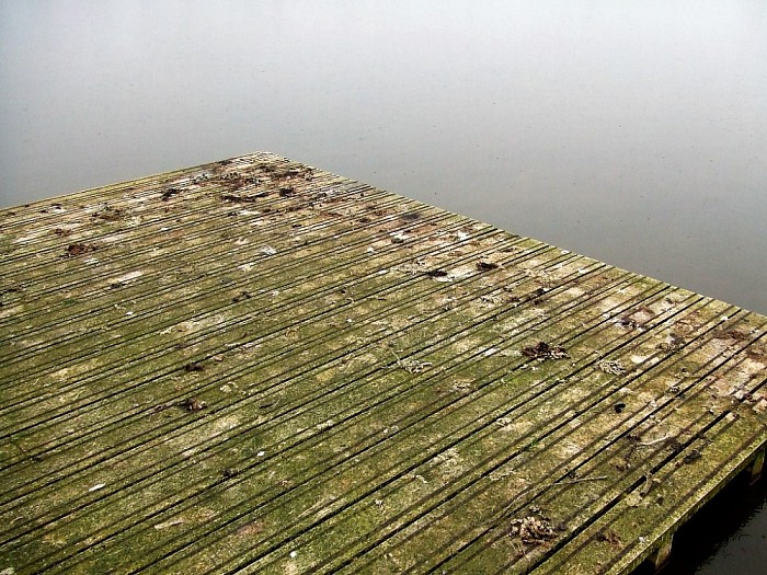 Marshoek verscholen in het groen - Foto: Wim