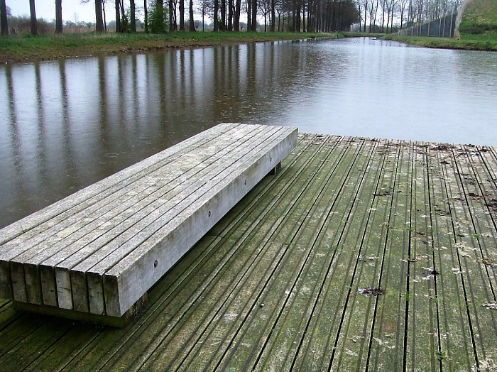 Marshoek verscholen in het groen - Foto: Wim