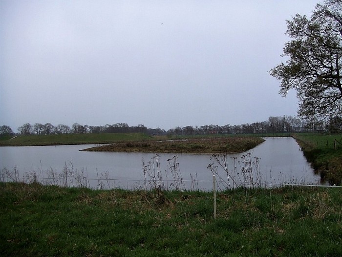 Marshoek verscholen in het groen - Foto: Wim