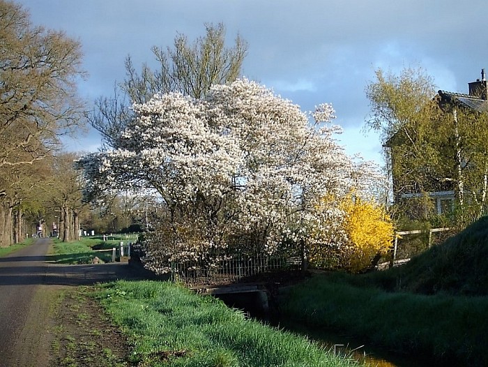 Het is volop lente in Lenthe - Foto: Wim