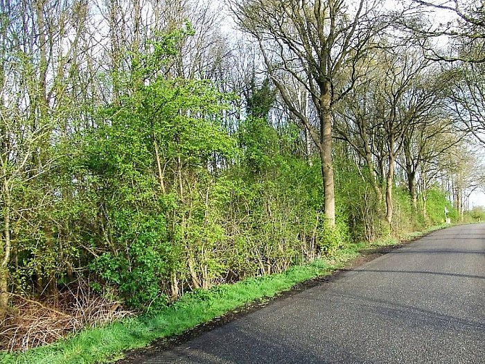 Het is volop lente in Lenthe - Foto: Wim