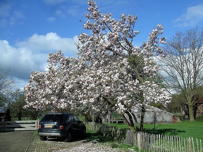 Het is volop lente in Lenthe - Foto: Wim