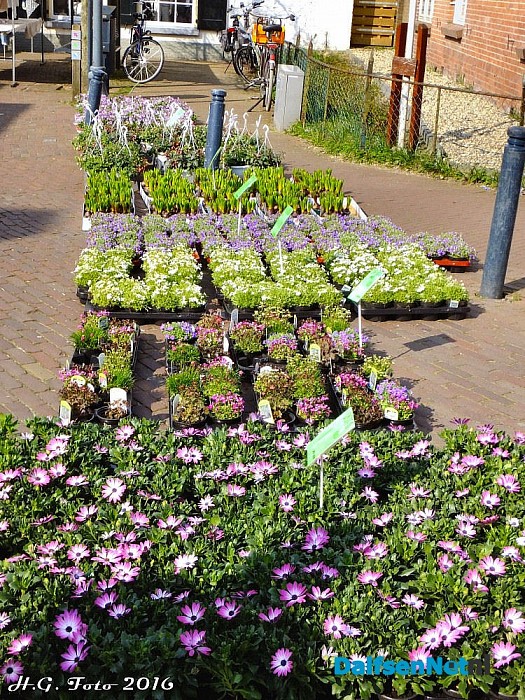 Voorjaarsweer op de voorjaarsfair - Foto: H.G. Foto