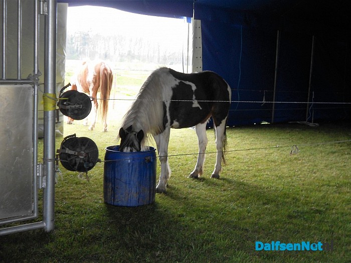 Circus Alberti aangekomen in Dalfsen