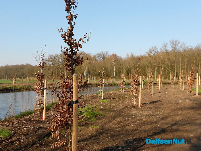 Nieuwe aanplant doet het goed