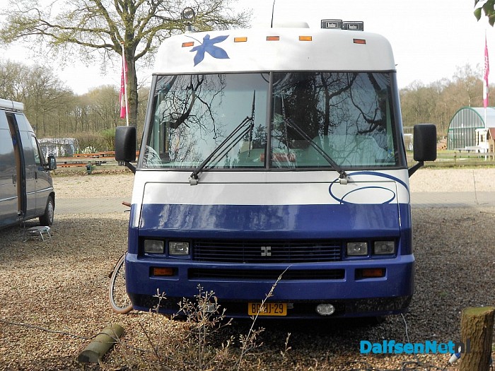 Zij doen het in het wild
