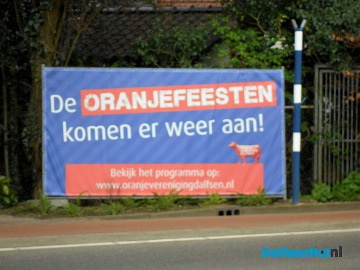 Koe in tuin in nieuwbouwwijk
