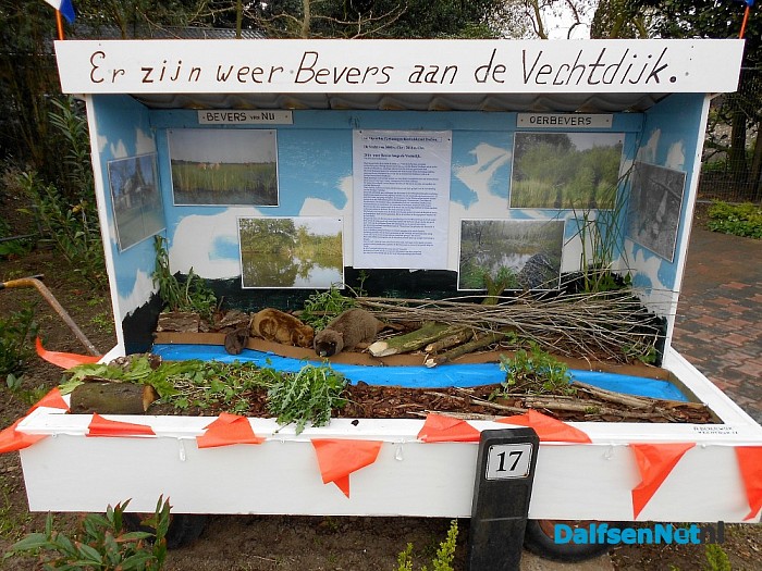 Er zijn bevers waargenomen nabij de Vecht