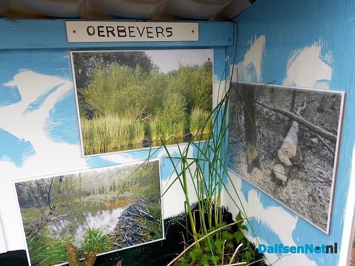Er zijn bevers waargenomen nabij de Vecht