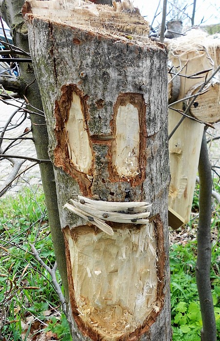 Kunst onder de bomen