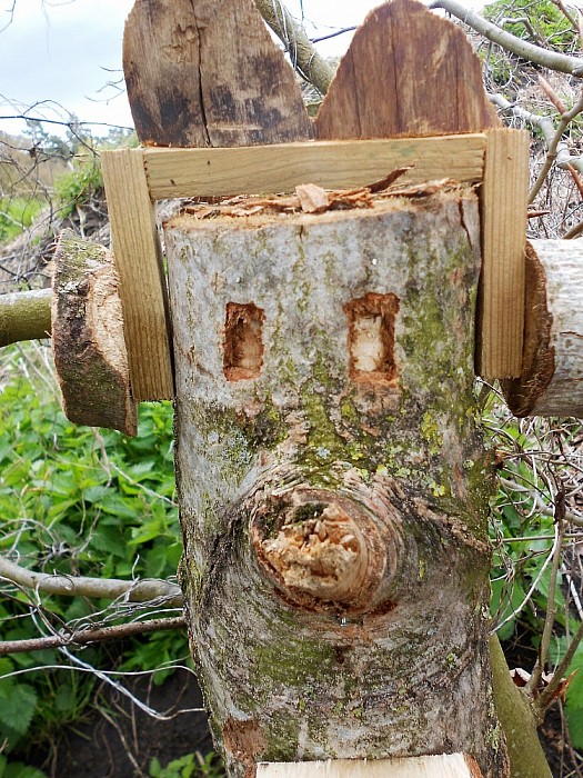 Kunst onder de bomen