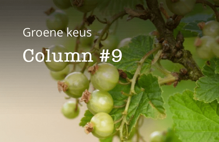 Nieuwe column Groen Gebogen is uit! - Foto: Thomas Klomp