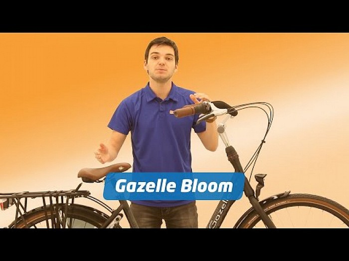 Fiets gazelle bloom gestolen
