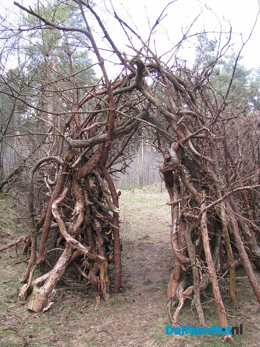 Ontdek kunst in het Willibrordusbos