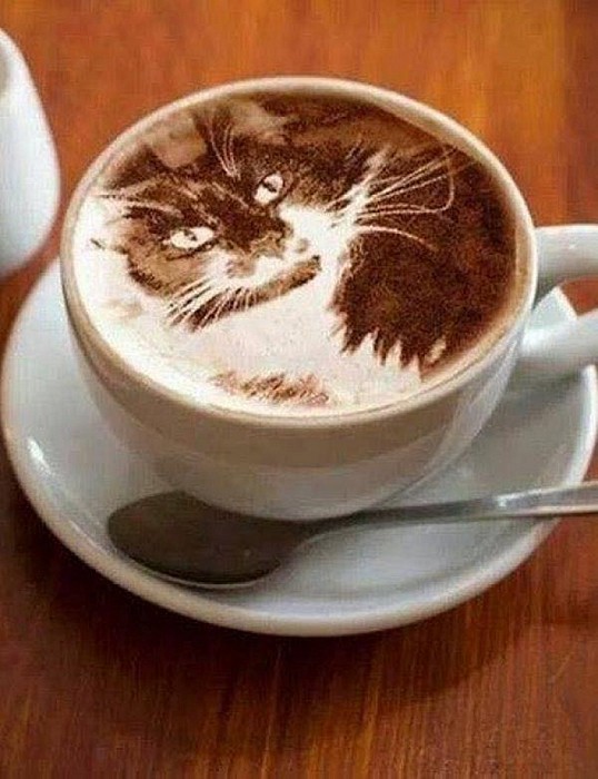 Nieuw: Koffiecaravan in het dorp!