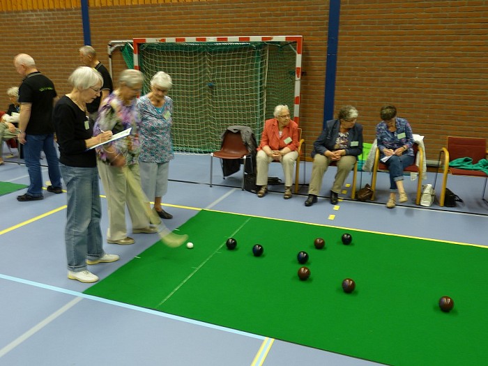 Koersbaltoernooi ”Salland-Vechtdal” - Foto: Eigen geleverde foto