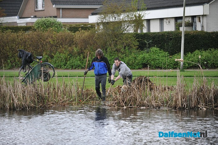 Visstekken gecreëerd aan de Polhaarweg vijver - Foto: Johan Bokma