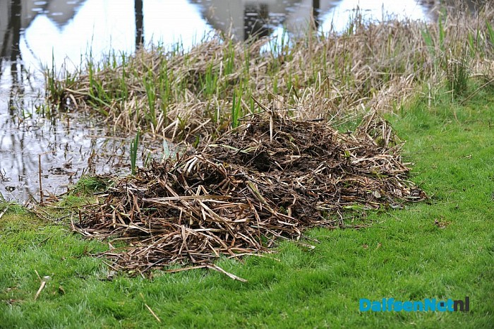 Visstekken gecreëerd aan de Polhaarweg vijver - Foto: Johan Bokma