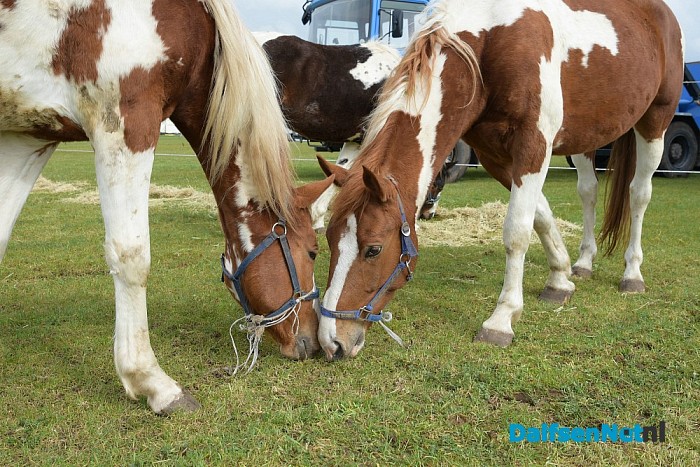 Circus Alberti aangekomen in Dalfsen - Foto: Johan Bokma