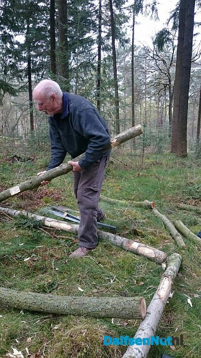 Ontdek kunst in het Willibrordusbos