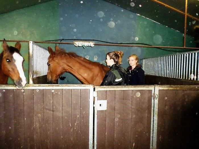 De groene Welle aan de slag bij olde Manegepeerd - Foto: Eigen geleverde foto