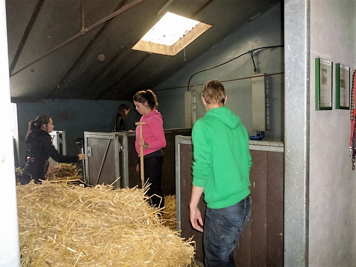 De groene Welle aan de slag bij olde Manegepeerd - Foto: Eigen geleverde foto