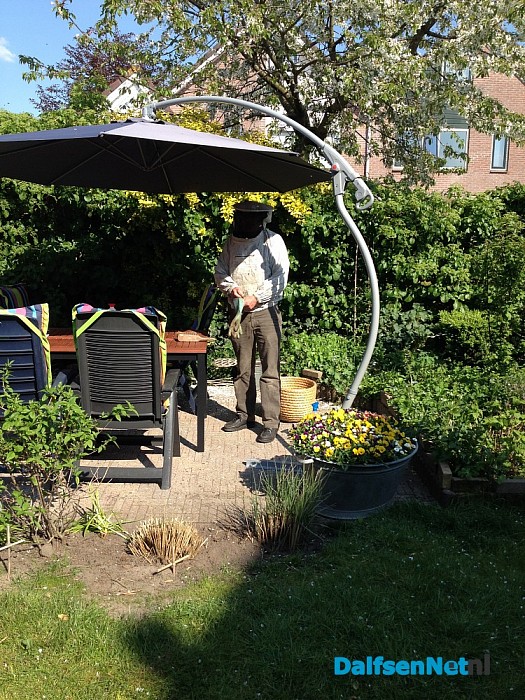 bijen