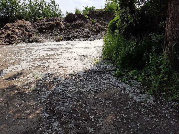 As snee in mei - Foto: Eigen geleverde foto