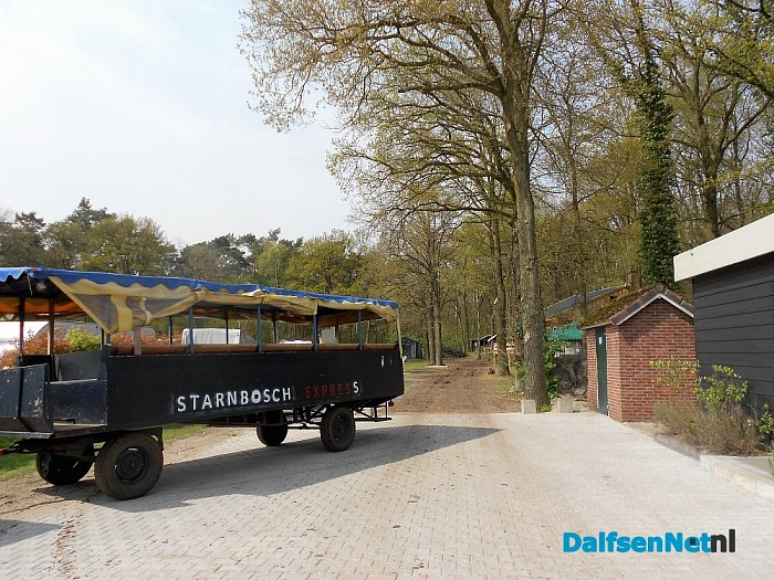 Het fijne camping in Dalfsen gevoel