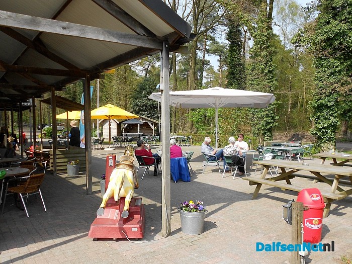 Het fijne camping in Dalfsen gevoel