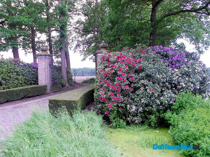 De prachtige kleuren van het voorjaar
