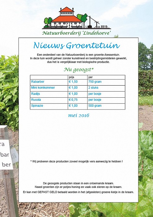 Groente- en kruidentuin van ‘Lindehoeve’ in de groei! - Foto: Eigen geleverde foto