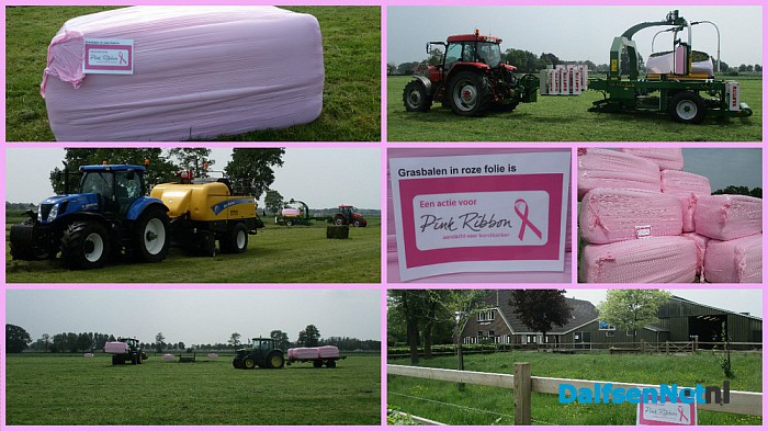 Roze grasbalen