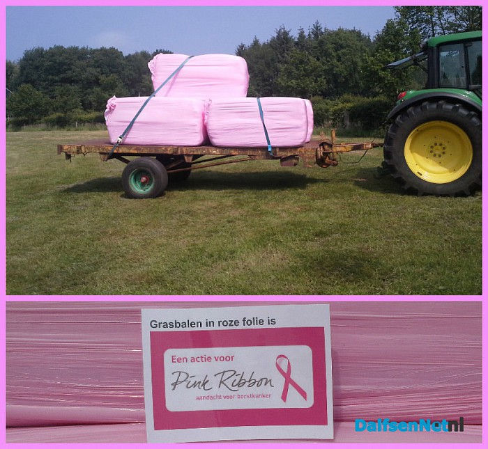 Roze grasbalen