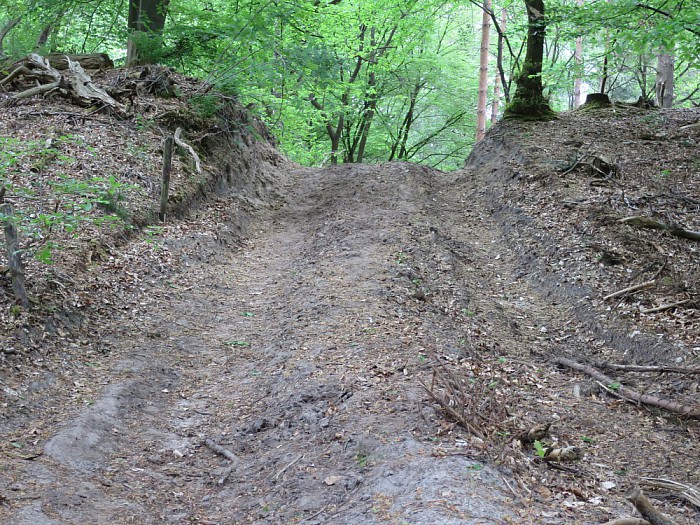 Alle paden in Het Sterrebos zijn weer geheel hersteld - Foto: Wim
