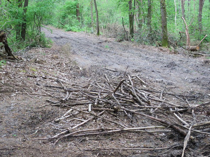 Alle paden in Het Sterrebos zijn weer geheel hersteld - Foto: Wim