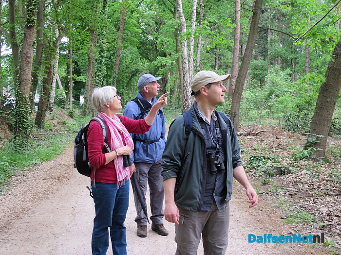 Vogelwandeling vanaf het Boskamp, indrukwekkend. - Foto: Wim