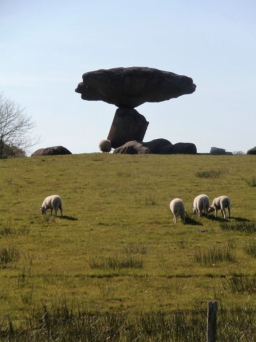 Wandeltocht de Groene Looper - Foto: Eigen geleverde foto