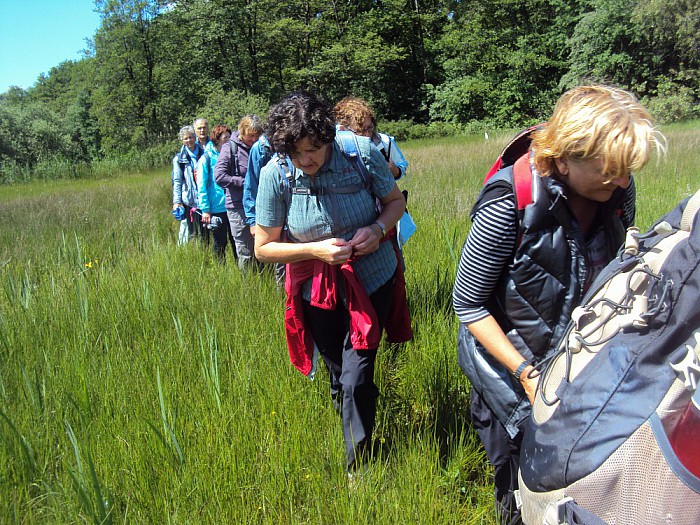 Zo meteen nog mee met wandeltocht? - Foto: Eigen geleverde foto