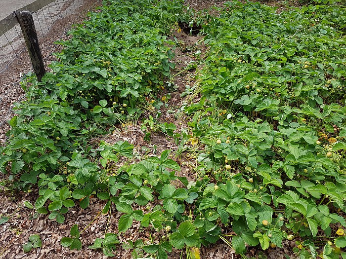 Das op bezoek - Foto: Eigen geleverde foto