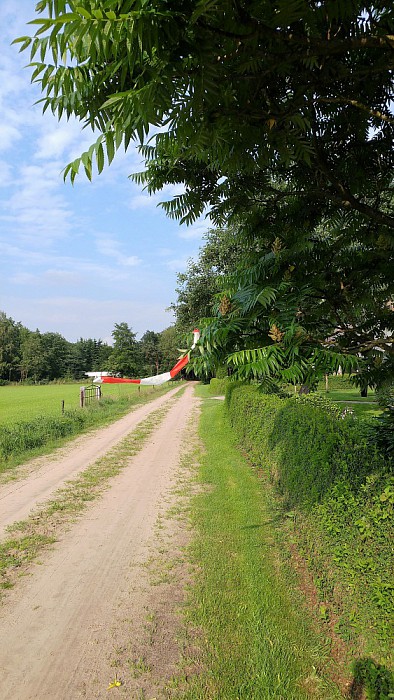 Eén en al linten - Foto: Eigen geleverde foto