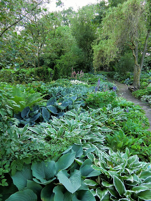 Open tuindagen in Lemelerveld - Foto: Eigen geleverde foto