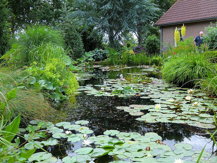 Open tuindagen in Lemelerveld - Foto: Eigen geleverde foto
