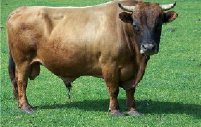 De (grote) kabouters zongen uit volle borst