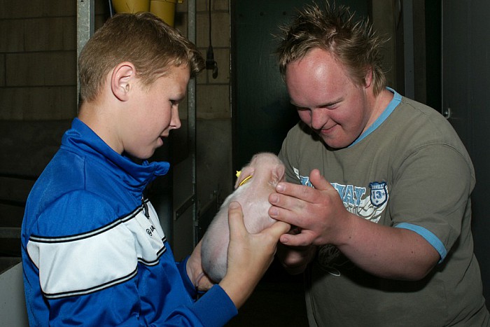Prokkeltrip: groot succes - Foto: Paul Scholten