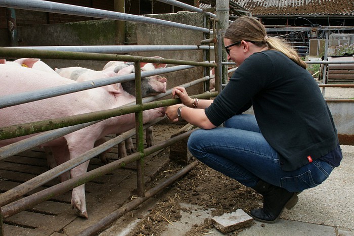 Prokkeltrip: groot succes - Foto: Paul Scholten