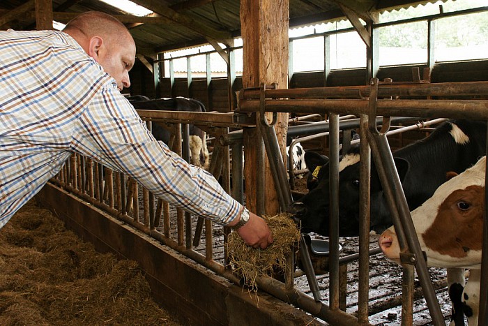 Prokkeltrip: groot succes - Foto: Paul Scholten