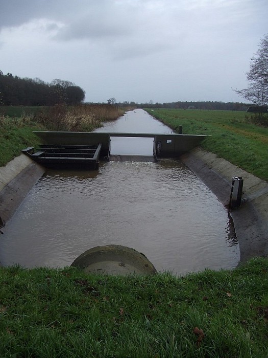 Marsweteringsgebied wordt aangepakt - Foto: Wim