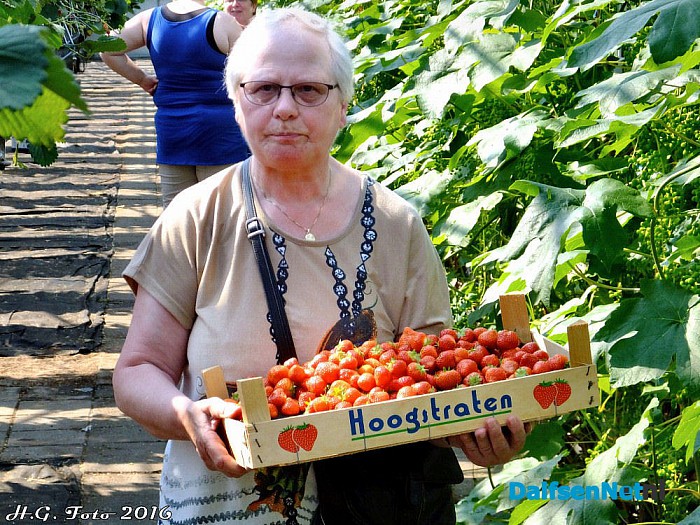 Opendag Kwekerij Ernie van der Kolk. - Foto: H.G. Foto